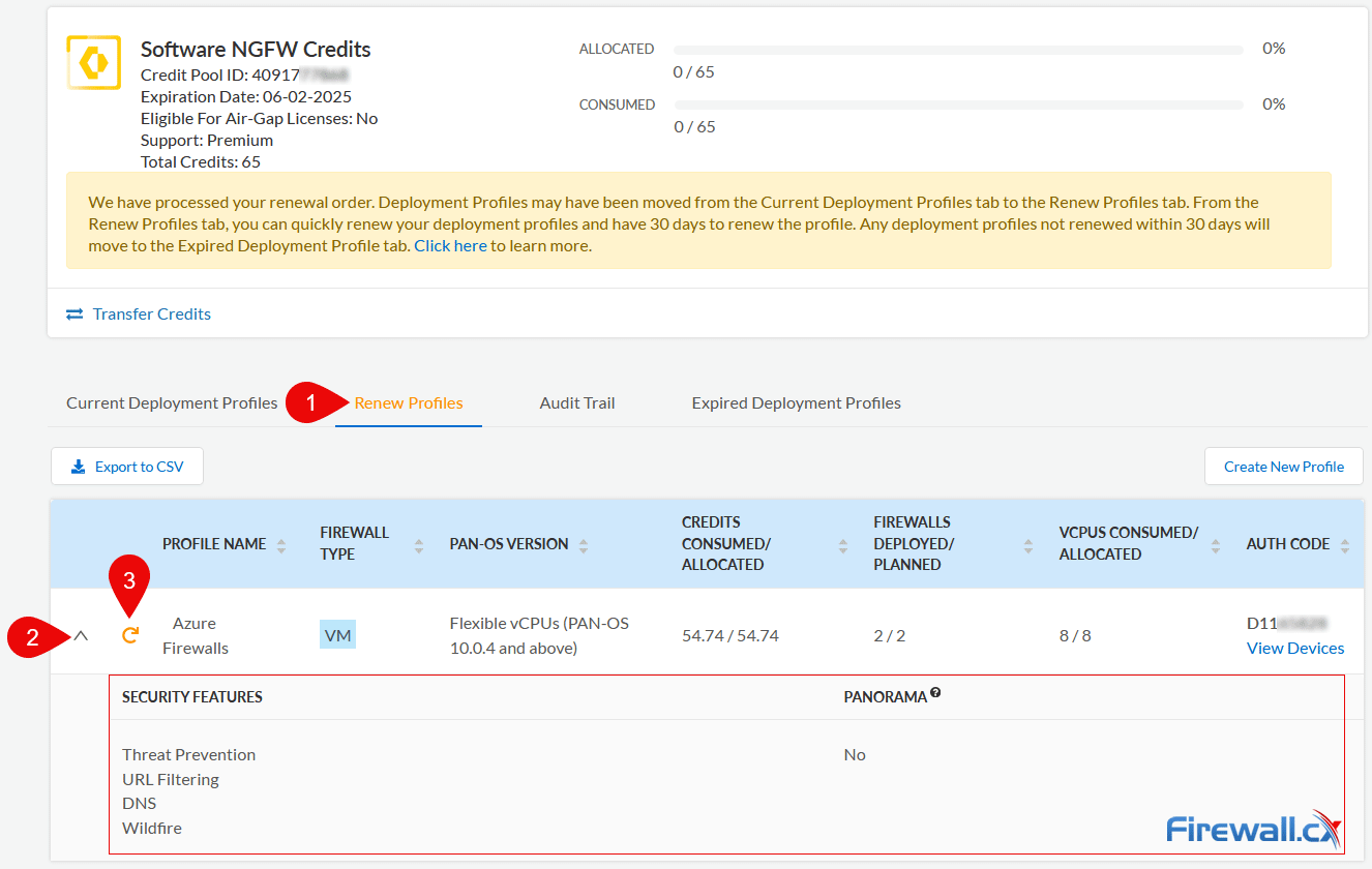 Palo Alto Networks - Software NGFW Credits Deployment Profile Review Palo Alto Networks - Software NGFW Credits Deployment Profile Review